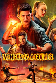 Portada Venganza a golpes