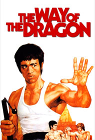 Portada El furor del Dragón