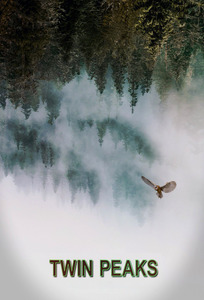 Portada Twin Peaks